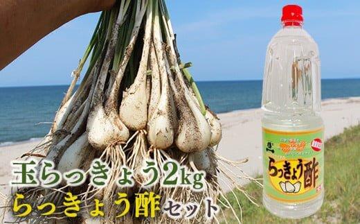 328.【先行予約】朝堀り玉らっきょうと老舗のらっきょう酢セット　※5月中旬～6月下旬頃に順次発送予定