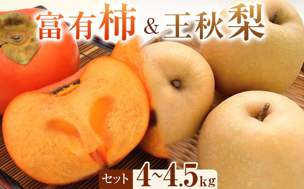 337.【先行予約】富有柿と王秋梨のセット 秀 4kg以上～4.5kg未満　※2026年11月上旬～12月上旬頃に順次発送予定