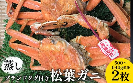 109.【蒸し】ブランドタグ付き松葉ガニ 500～640g前後　２枚◇ ≪かに カニ 蟹 ズワイガニ≫　※2025年11月上旬～2026年3月上旬頃に順次発送予定