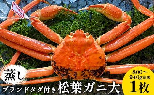 110.【蒸し】ブランドタグ付き松葉ガニ 大　800～940g前後　1枚《かに カニ 蟹 ズワイガニ》※2025年11月上旬～2026年3月上旬頃に順次発送予定