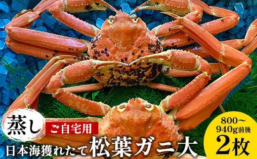 115.【蒸し】訳あり ご自宅用日本海獲れたて松葉ガニ 大　800～940g前後　２枚◇《かに カニ 蟹 ズワイガニ》※2025年11月上旬～2026年3月上旬頃に順次発送予定