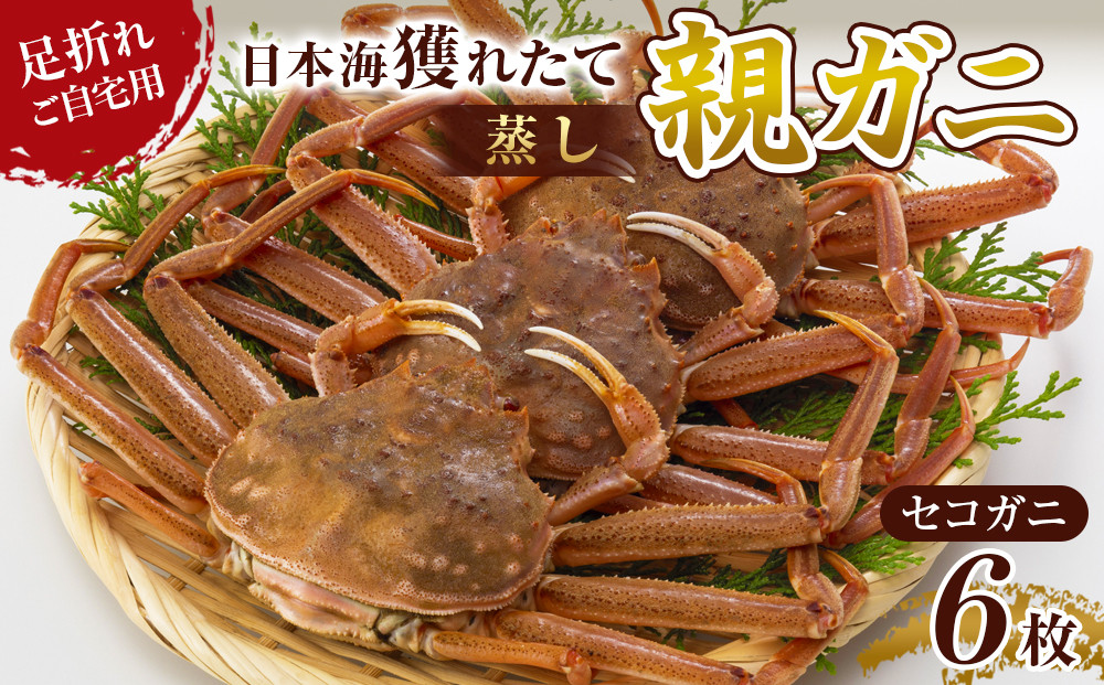 123.【蒸し】訳あり 足折れ ご自宅用 日本海獲れたて親ガニ（セコガニ）6枚　※2025年11月上旬～12月下旬頃に順次発送予定
