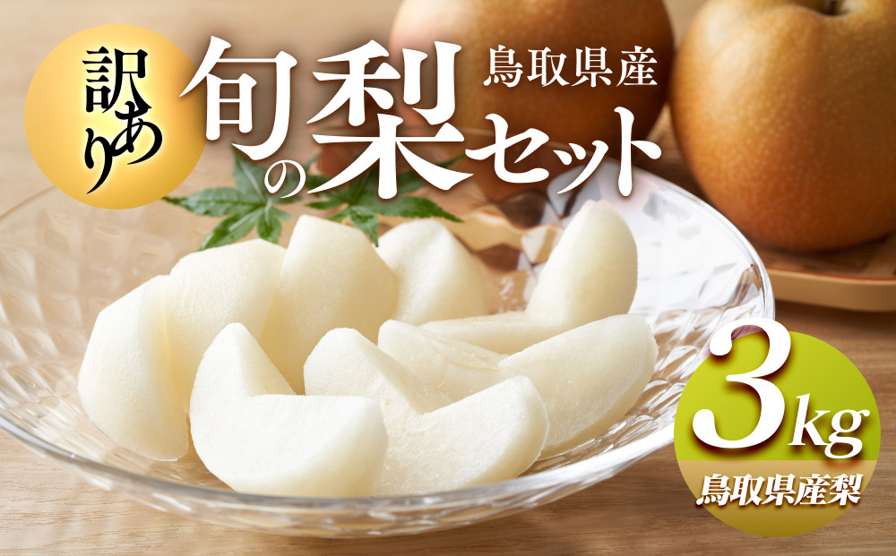949.【訳あり】鳥取県産旬の梨セット 3kg【梨・なし・果物 フルーツ・くだもの】