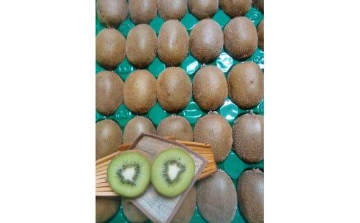 ※25.7.1受付停止※344.キウイフルーツ　3kg前後※2025年11月中旬～12月中旬頃に順次発送予定