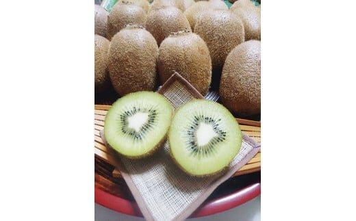 ※25.7.1受付停止※345.小玉キウイフルーツ3kg前後※2025年11月中旬～2026年2月中旬頃に順次発送予定