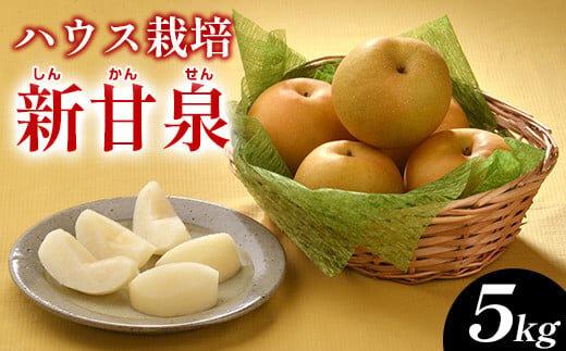 287.ハウス新甘泉（ハウスしんかんせん）５ｋｇ（ＪＡ）　※2025年8月上旬～8月中旬頃に順次発送予定