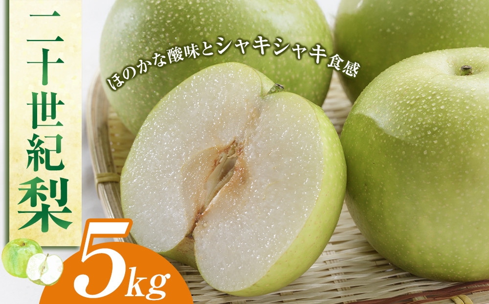 278.二十世紀梨　５ｋｇ（ＪＡ）　※2025年8月下旬～9月上旬頃に順次発送予定