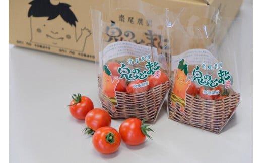 347.鬼のとまと◇　※2025年6月上旬～10月下旬頃に順次発送予定