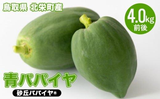 354.青パパイヤ（砂丘パパイヤ）4.0kg前後　※2025年9月中旬～11月下旬頃に順次発送予定※離島への配送不可