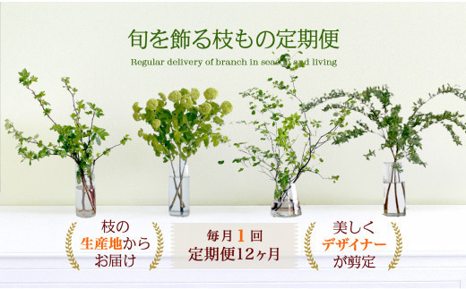 674.【月1回・12ヶ月定期便】旬をかざる枝もの定期便（年12回）＋初回ガラスベース付き