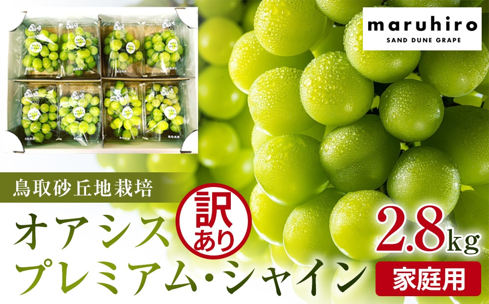 914.【先行予約】シャインマスカット 訳あり 家庭用 鳥取砂丘地産 2.8kg（350g×8パック） ※離島への配送不可 ※2026年8月下旬頃～10月下旬頃に順次発送