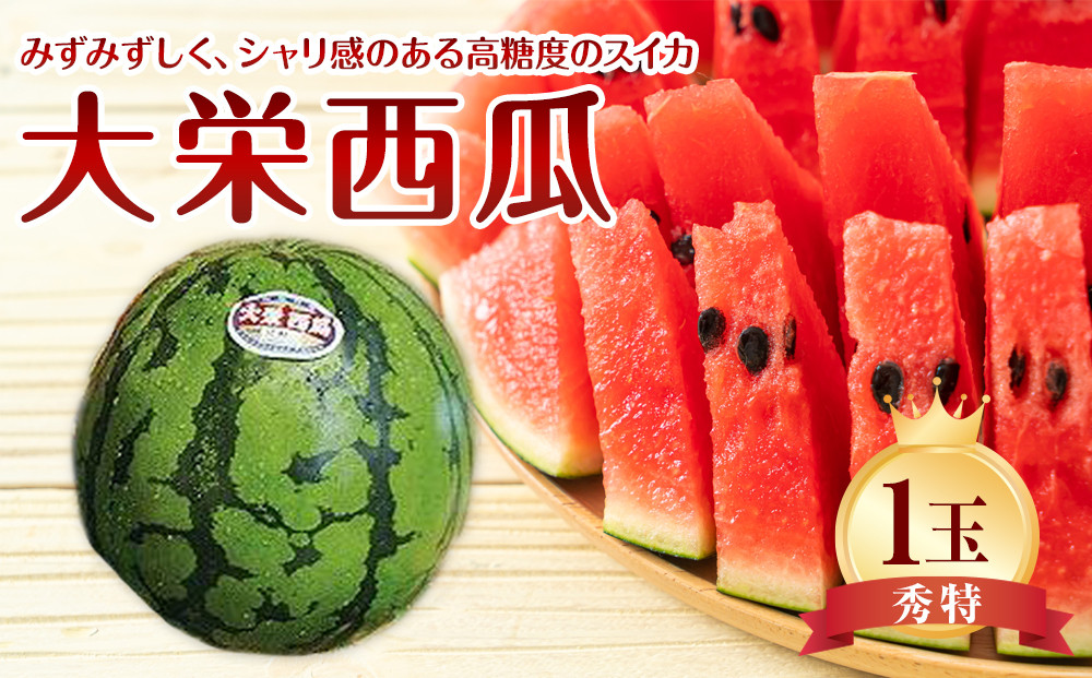 734.【先行予約】【ＪＡ】大栄西瓜 秀特×1玉　※着日指定不可　※離島への配送不可　※2026年6月中旬頃～7月中旬頃に順次発送予定