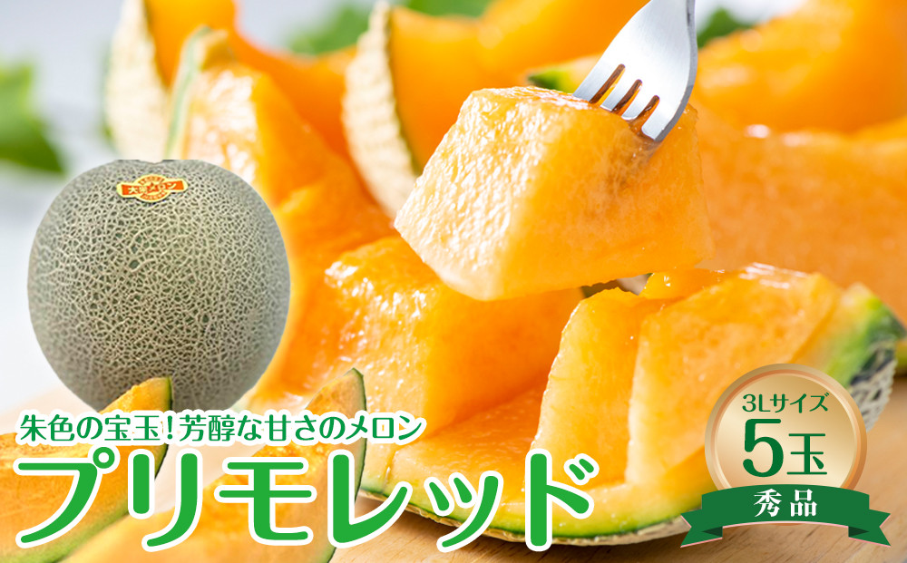 739.【先行予約】【ＪＡ】大栄メロン　プリモレッド（赤肉）赤秀3Ｌ×5玉　※着日指定不可　※離島への配送不可　※2026年9月末頃～10月下旬頃に順次発送予定