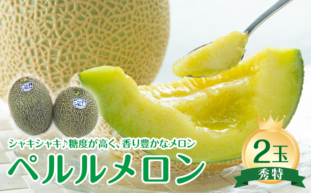 741.【先行予約】【JA】ペルルメロン 秀特×2玉 ※離島への配送不可 ※2026年6月中旬頃～7月中旬頃に順次発送予定