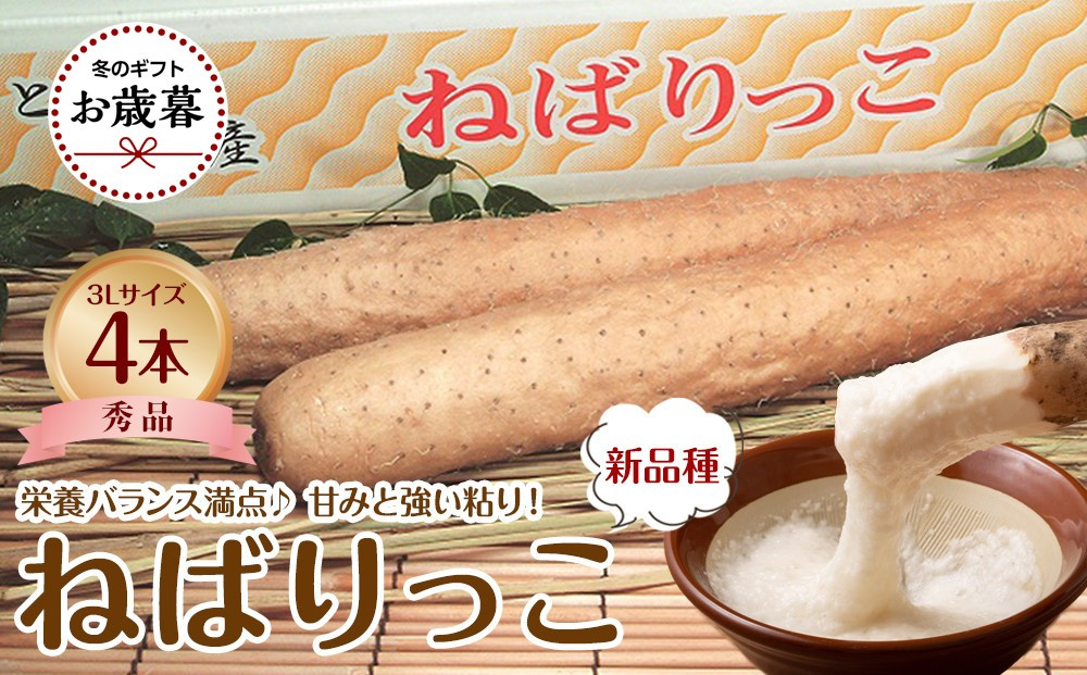 742.【2026年お歳暮　のし付】【先行予約】【ＪＡ】ねばりっこ　秀3Ｌ×4本　※着日指定不可　※離島への配送不可　※順次発送予定