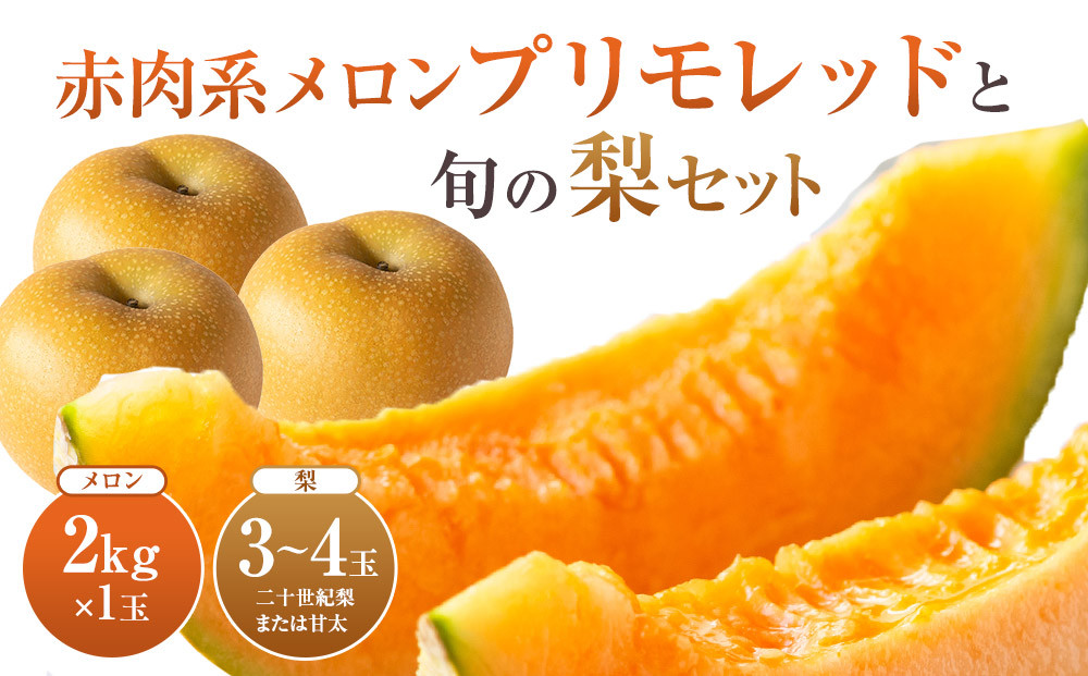 【先行予約】925.【ふるさと納税】【赤肉系メロン】プリモレッド (メロン) と旬の梨セット※離島への配送不可（北海道、沖縄本島は配送可能）