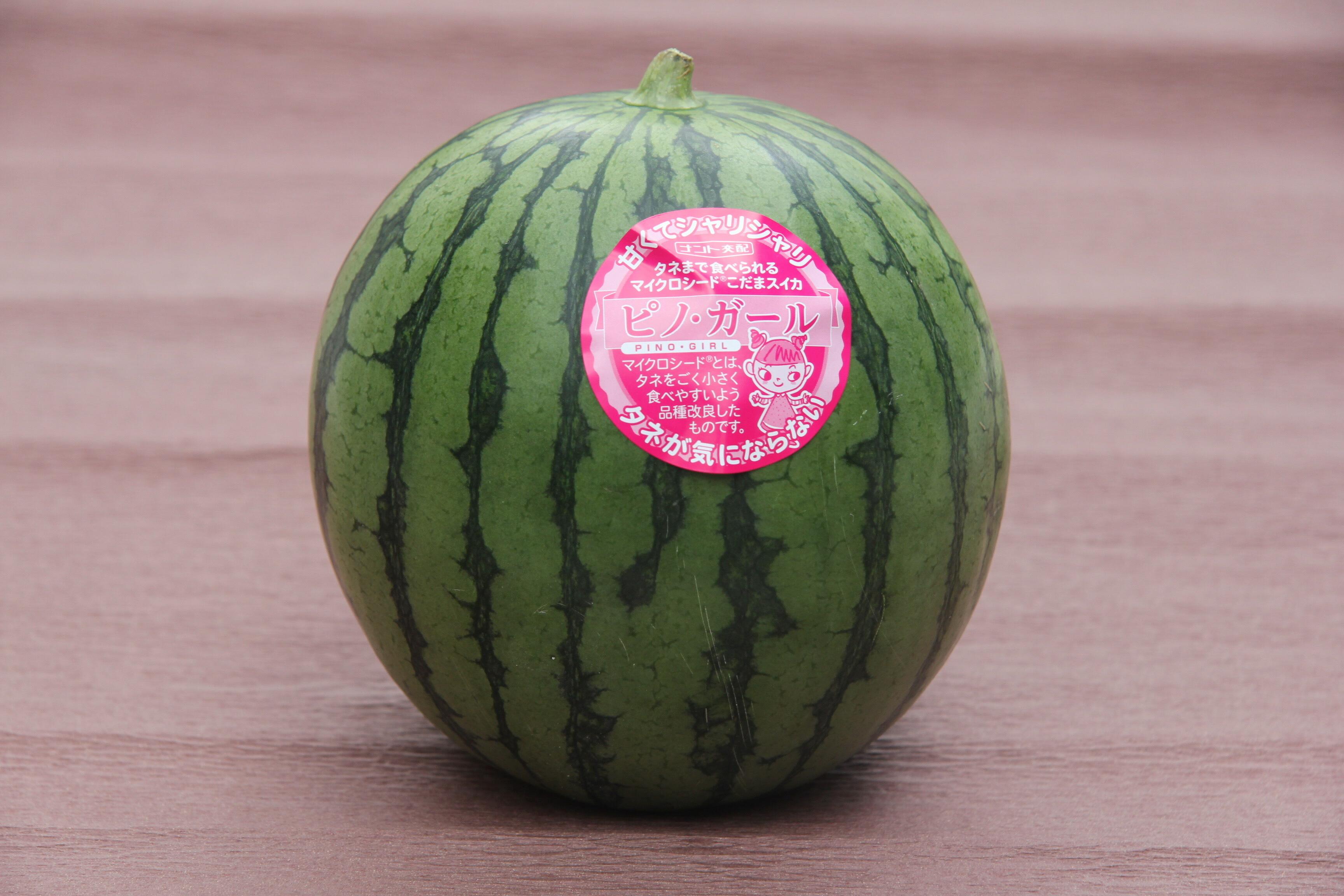【先行予約】798.種ごと食べられる！小玉スイカ【ピノ・ガール】2玉（1玉2kg前後×2玉）※着日指定不可※離島への配送不可