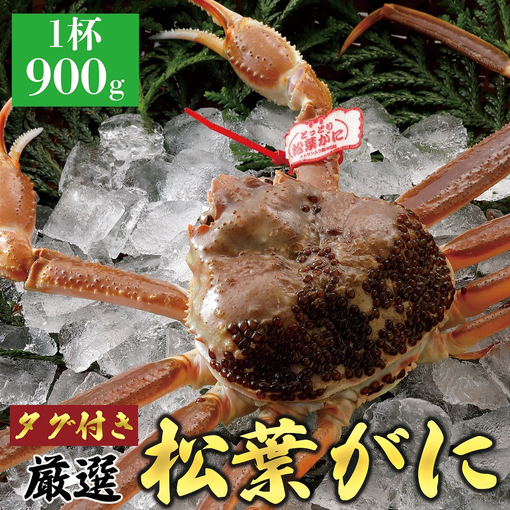 759.【活】≪2025年12月～2026年1月発送≫ 特撰 松葉がに【ブランドタグ付き】（900g超×1杯)