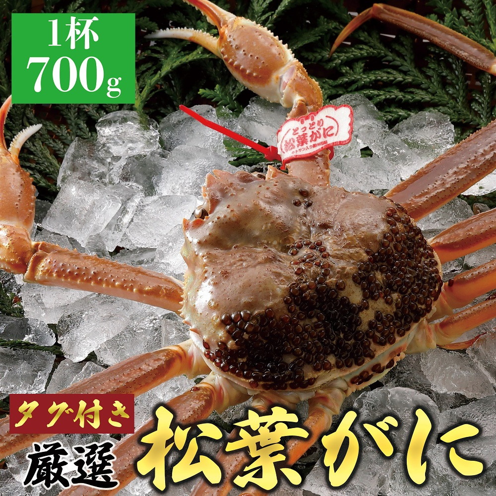 765.【活】≪2025年12月～2026年1月発送≫ 特撰 松葉がに【ブランドタグ付き】（700g超×1杯）
