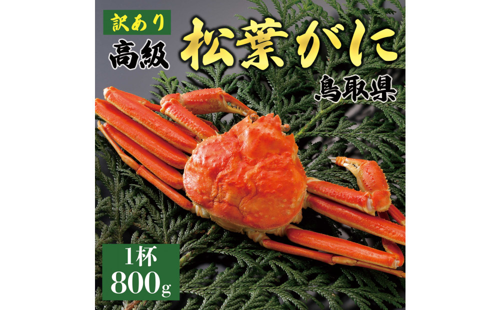 1047.【2025年12月～2026年1月発送】特撰 松葉がに（茹）【訳あり】800g超の大きいサイズ 食べ応えあり 特大1杯