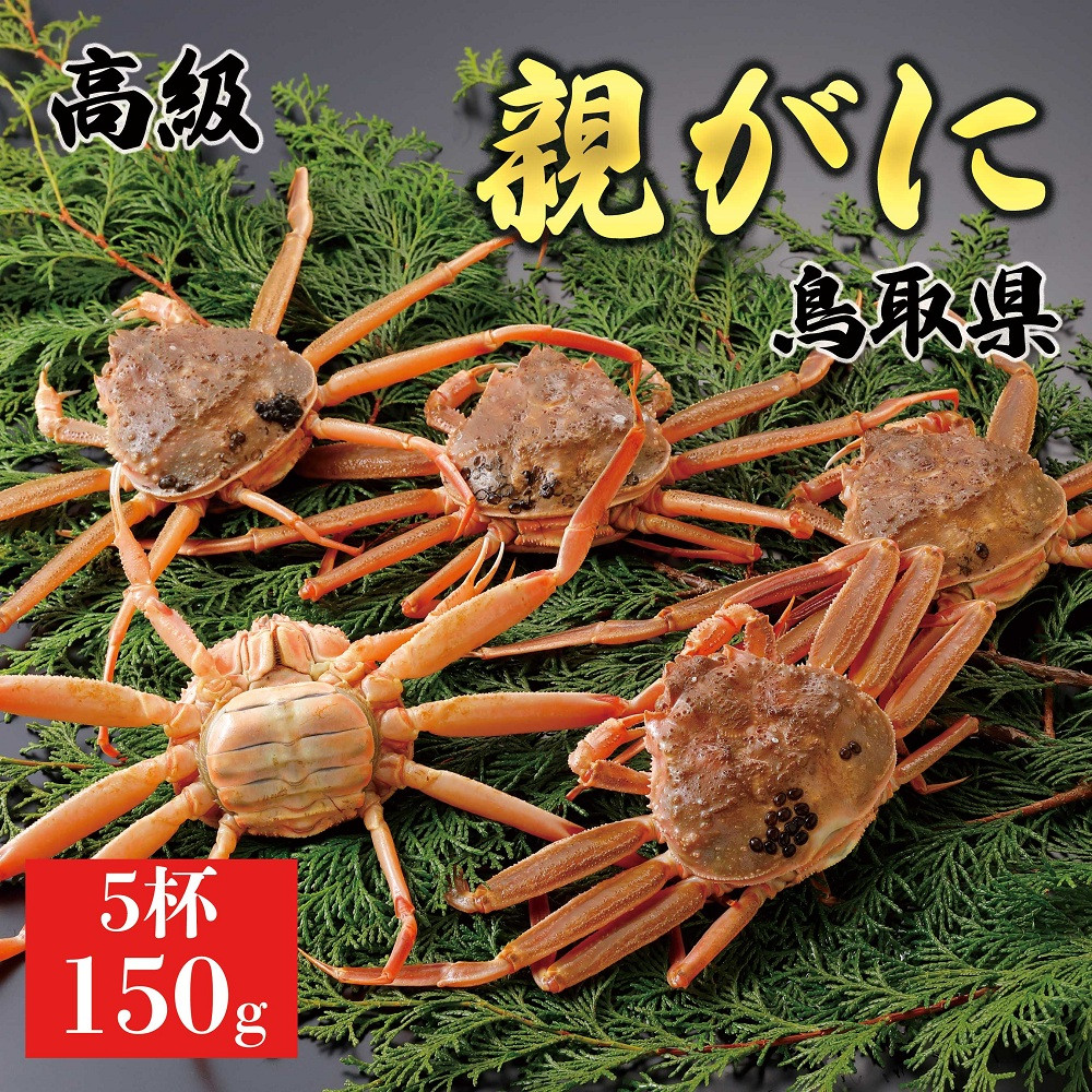 1062.【2025年12月発送】鳥取県産 特撰 親がに 姿【セコガニ】（なま）150g　5杯
