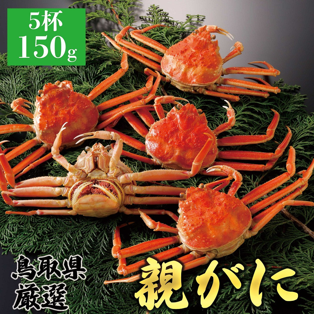 1062.【2025年12月発送】鳥取県産 特撰 親がに 姿【セコガニ】（茹）150g 5杯