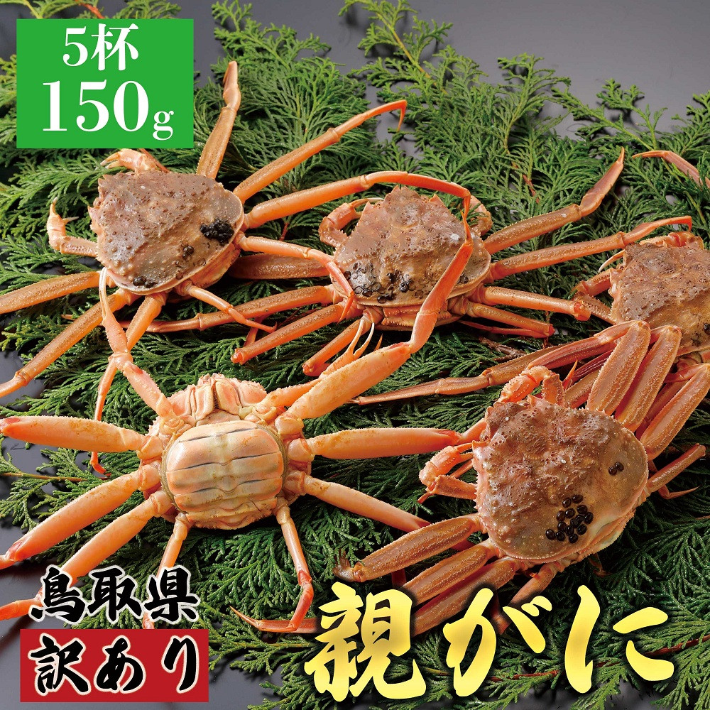 1068.【2025年12月発送】鳥取県産 特撰 親がに 姿【セコガニ】（なま）【訳あり】150g 5杯