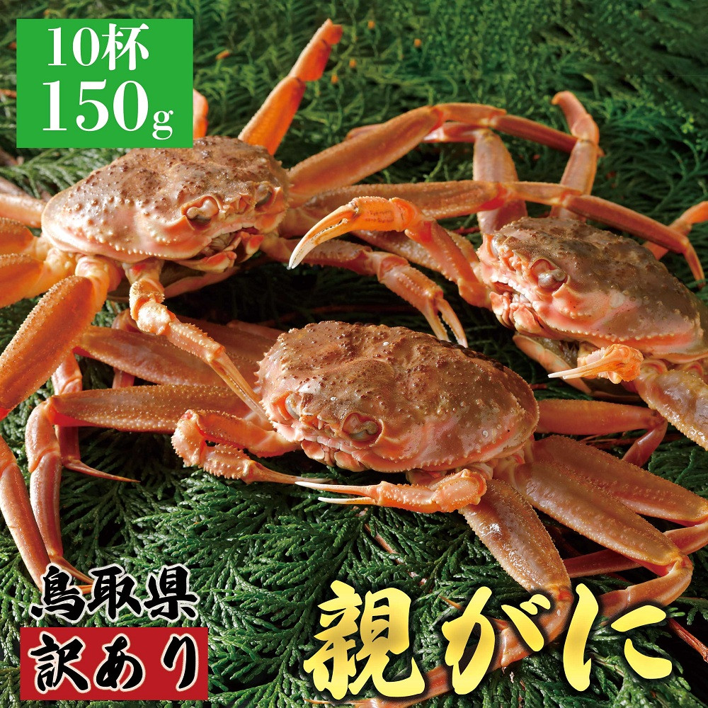 1070.【2025年12月発送】鳥取県産 特撰 親がに 姿【セコガニ】（なま）【訳あり】150g 10杯