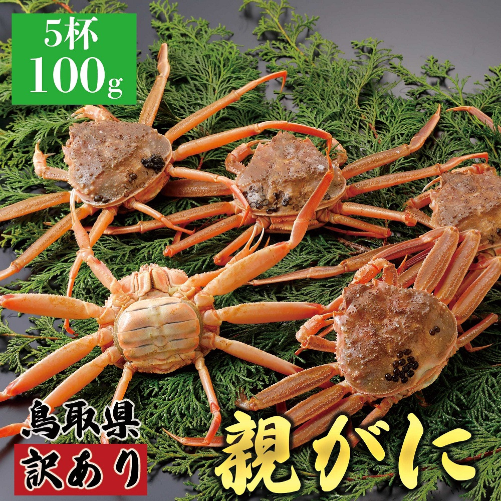 1071.【2025年12月発送】鳥取県産 特撰 親がに 姿【セコガニ】（なま）【訳あり】100g 5杯