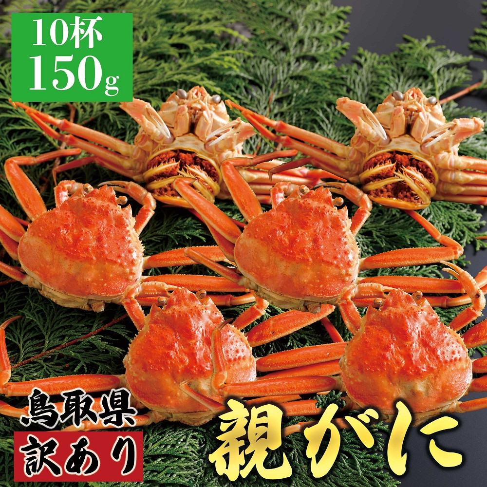 1070.【2025年12月発送】鳥取県産 特撰 親がに 姿【セコガニ】（茹）【訳あり】150g 10杯