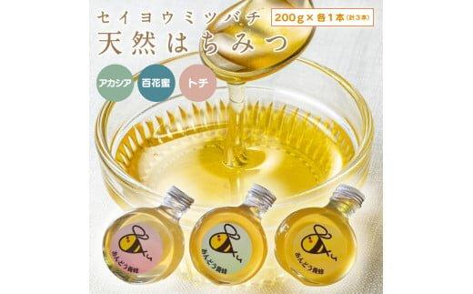 ※受付停止25.5.13※947.天然はちみつ3点セット（百花蜜、アカシア、トチ）200ｇ×各１本（計３本） 蜂蜜 ハチミツ ハチ蜜 鳥取県産◇日本全国配送可能