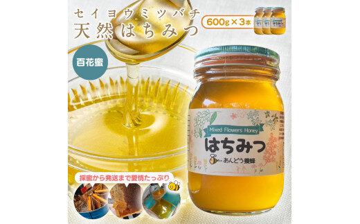 946.天然はちみつ　百花蜜　600g×1本  蜂蜜 ハチミツ ハチ蜜 鳥取県産◇日本全国配送可能