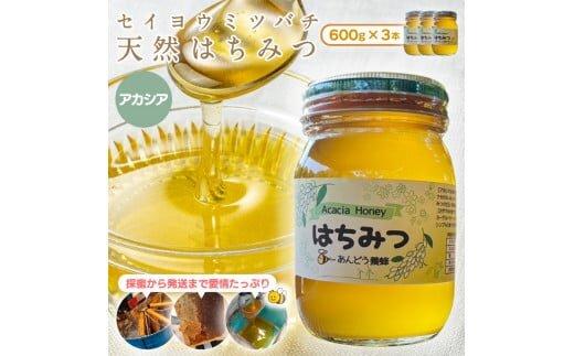 ※受付停止25.5.13※944.天然はちみつ　アカシア　600g×1本  蜂蜜 ハチミツ ハチ蜜 鳥取県産◇日本全国配送可能