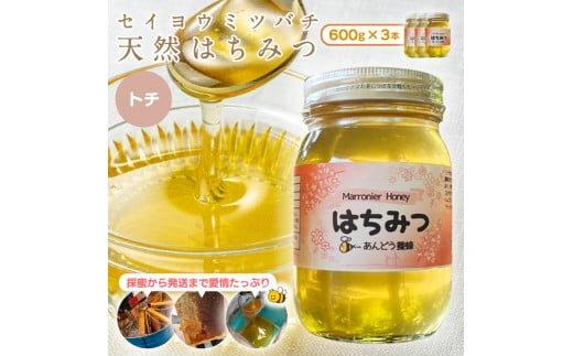 ※受付停止25.5.13※945.天然はちみつ トチ 600g×1本  蜂蜜 ハチミツ ハチ蜜 鳥取県産◇日本全国配送可能