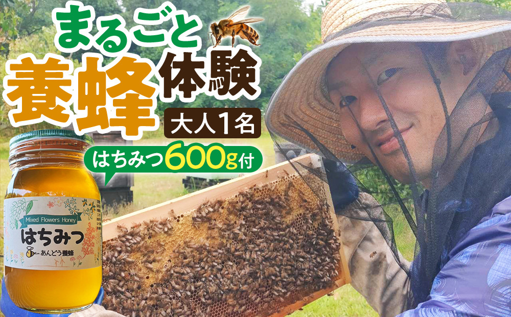 1282.【要予約 大人1名様用】あんどう養蜂 まるごと養蜂体験（約3時間）はちみつ600g付き
