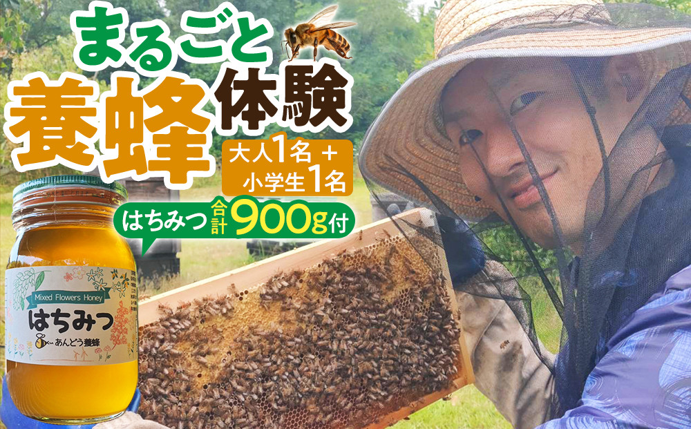 1283.【要予約 親子用（大人1名様+小学生1名様）】あんどう養蜂 まるごと養蜂体験（約3時間）はちみつ大人：600g、小学生：300g付き