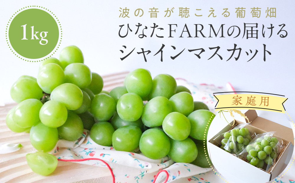 1039.【家庭用】波の音が聴こえる葡萄畑　ひなたFARM シャインマスカット