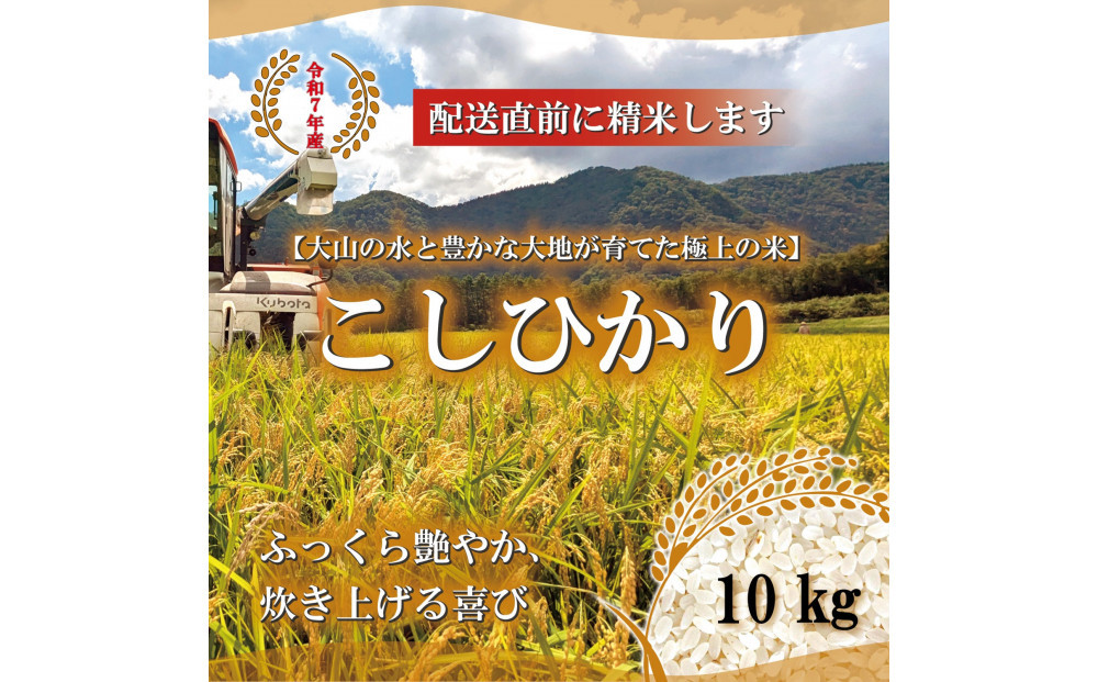 1805.令和7年産　こしひかり精米　10kg