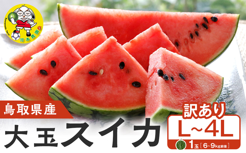 1115.鳥取県産 大玉スイカ 訳あり 1玉 6-9キロ前後L-4L（こちらの返礼品は、大栄西瓜ではありません）