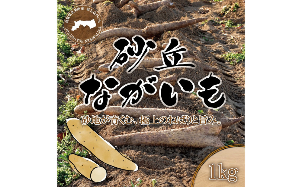 1112.砂丘ながいも1kg