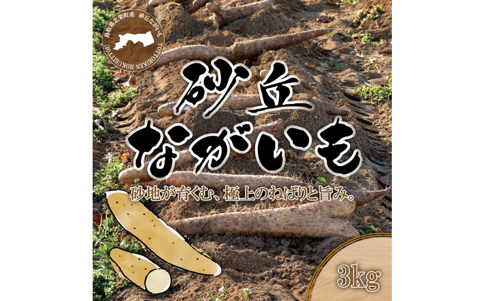 1114.砂丘ながいも3kg