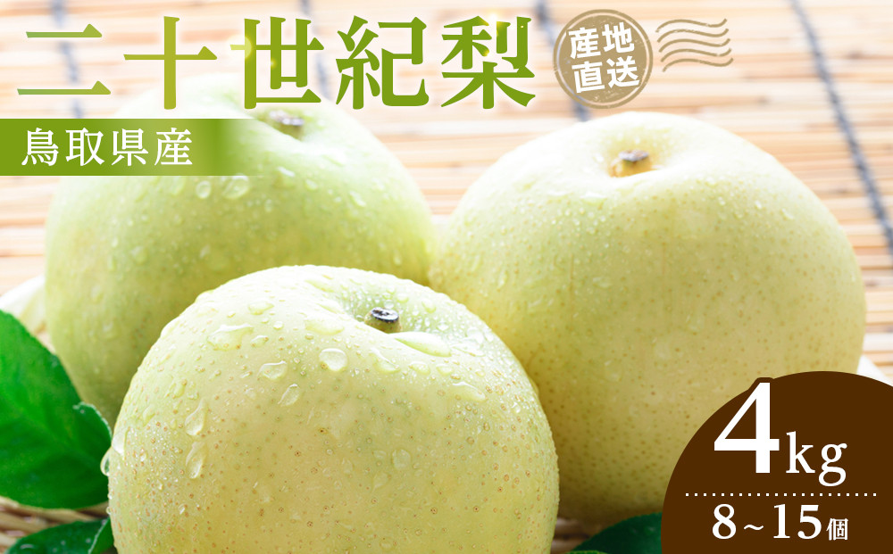 1280.【2026年9月発送】二十世紀梨　4ｋｇ