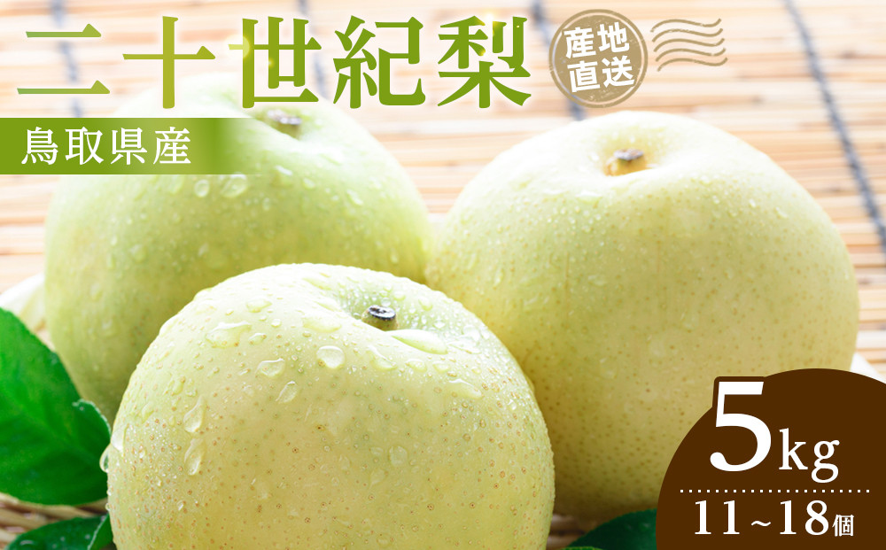 1281.【2026年9月発送】二十世紀梨　5ｋｇ