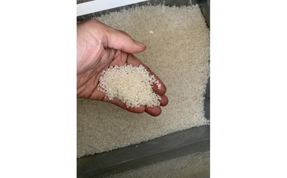 1261.＜令和７年産＞ たかた農園のお米「きぬむすめ」はでかけ　天日干し【精米10kg】