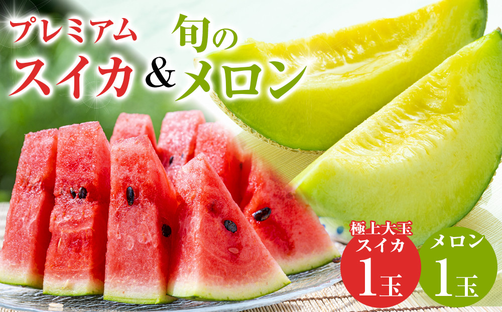 251.【先行予約】プレミアムスイカと旬のメロン1玉セット（こちらの返礼品は、大栄西瓜ではありません）◇ ※6月上旬～7月下旬頃に順次発送予定 ※着日指定不可