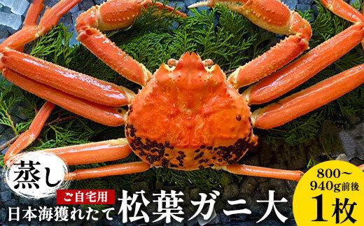 116.【蒸し】訳あり ご自宅用 日本海獲れたて松葉ガニ 大　800～940g前後　１枚◇ ≪かに カニ 蟹 ズワイガニ≫　※2025年11月上旬～2026年3月上旬頃に順次発送予定