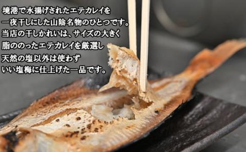 境港産一夜干しかれい（8枚）