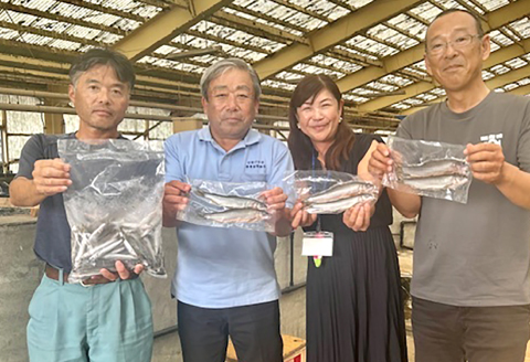 日野川育ちの「夏香鮎」瞬間冷凍1kg(約12～14尾）【鮎 冷凍 1kg 国産 アユ あゆ 魚 魚介 海鮮 養殖 川魚 塩焼き 甘露煮 煮凝り 素揚げ 天ぷら 鳥取県 日吉津村 日野川 日本海】