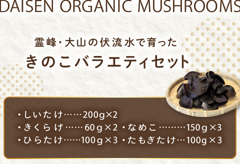 オーガニックきのこバラエティセット約1.5kg（5種13パック入）