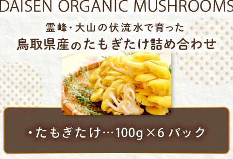 オーガニック菌床たもぎたけ6パック【タモギ茸 きのこ たもぎ茸 キノコ セット 茸 詰め合わせ たもぎたけ タモギタケ エルゴチオネイン だし 出汁】